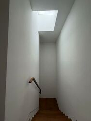 Simon Lane (D19), Terrace #536574191